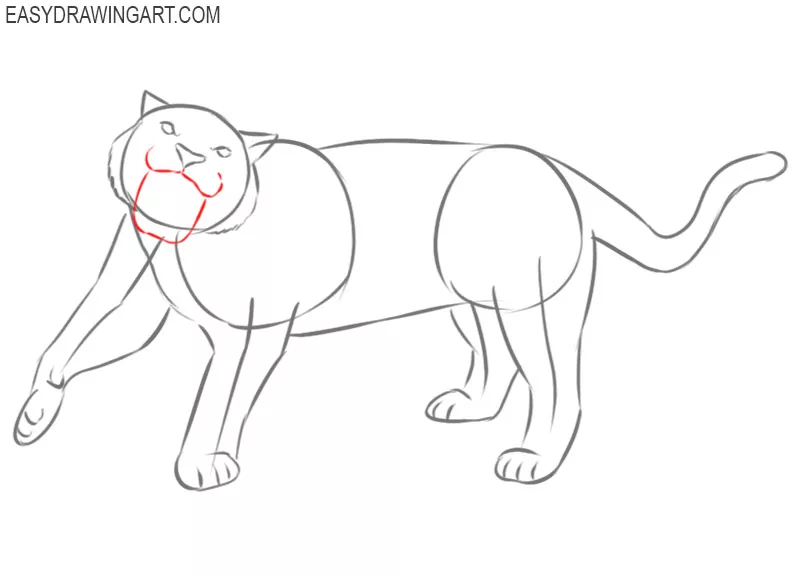 roaring tiger drawing step by step