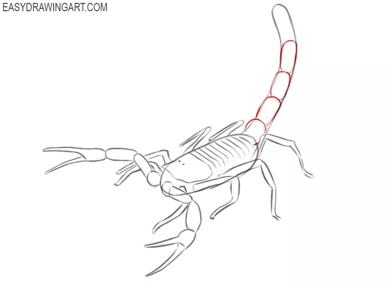 scorpion drawing easy