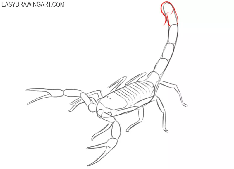 scorpion drawing images