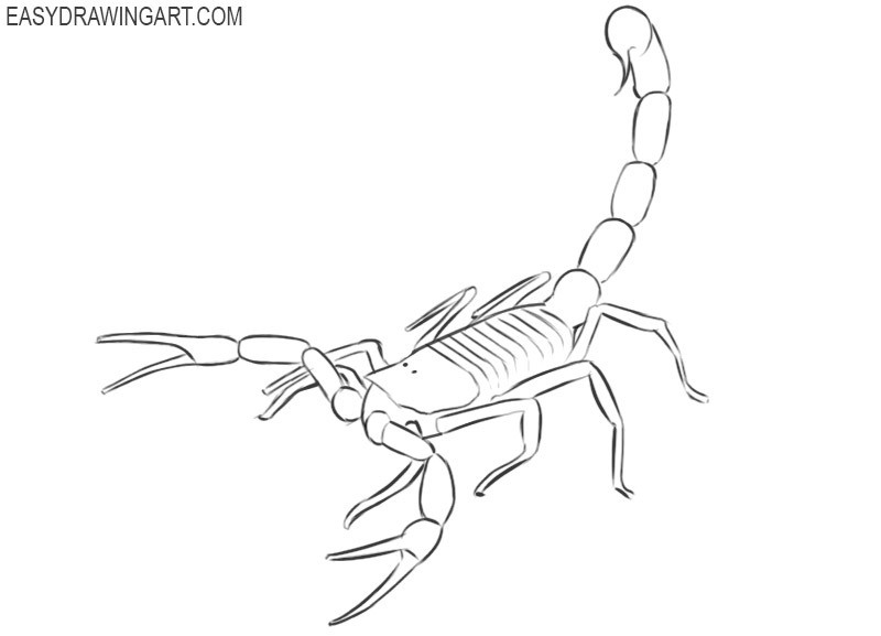 How to Draw a Scorpion Easy Drawing Art