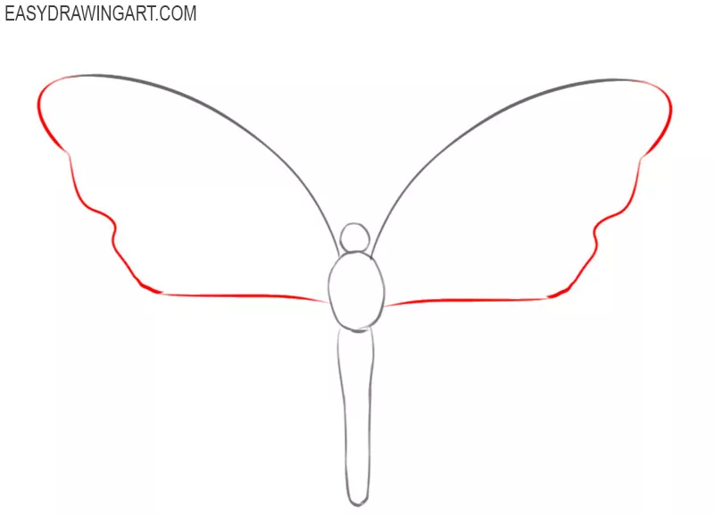 steps of how to draw a butterfly