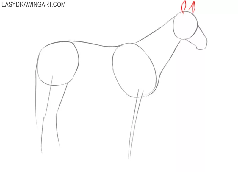 steps of how to draw a horse