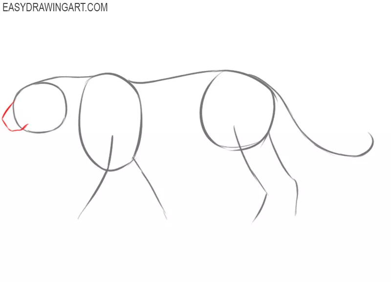 steps of how to draw a leopard