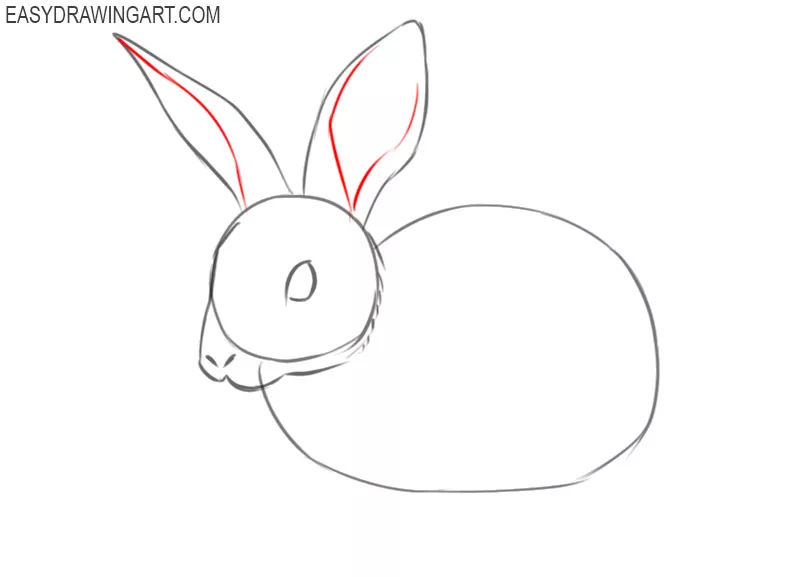 steps of how to draw a rabbit