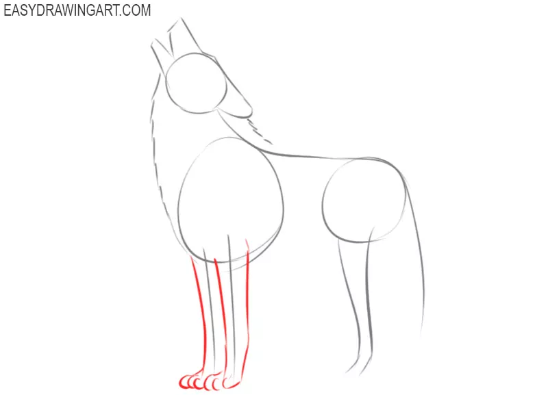 steps of how to draw a wolf