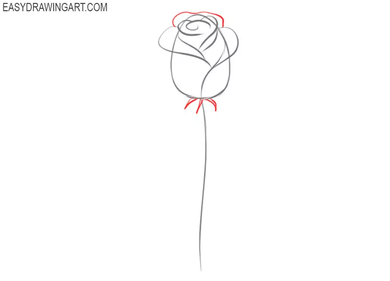 tutorial of how to draw a rose