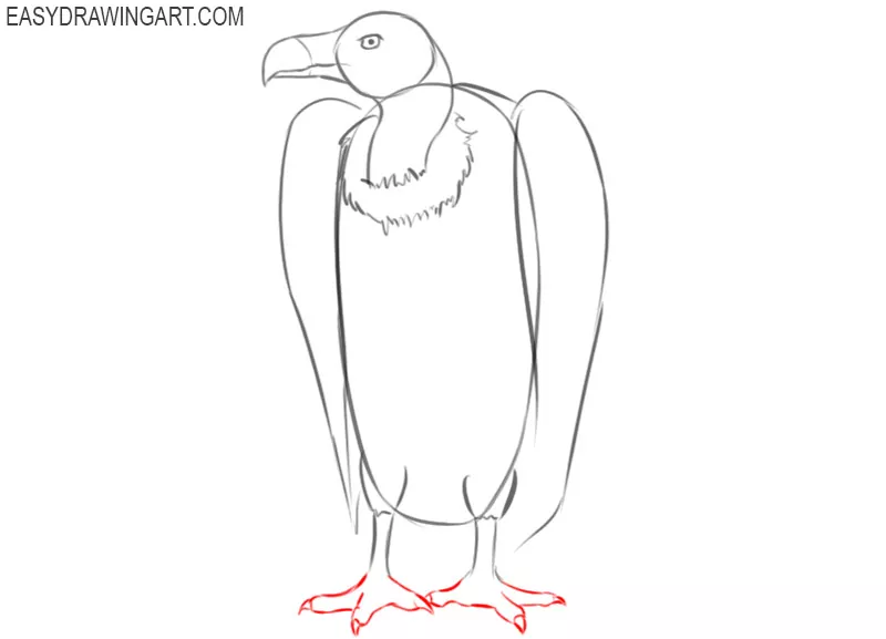 vulture drawing easy