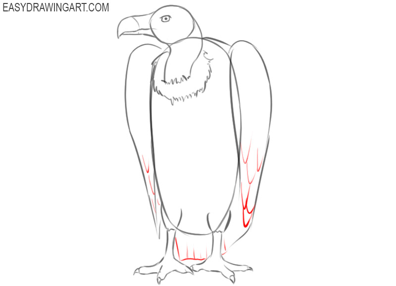 vulture drawing images
