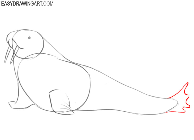 walrus drawing