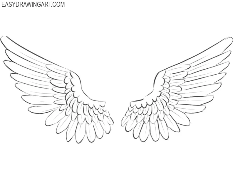 How to Draw Wings  Easy Drawing  Art