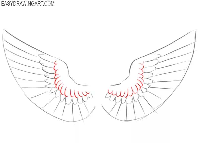 wings drawing step by step