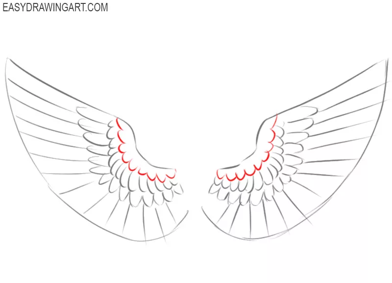 wings drawing tutorial
