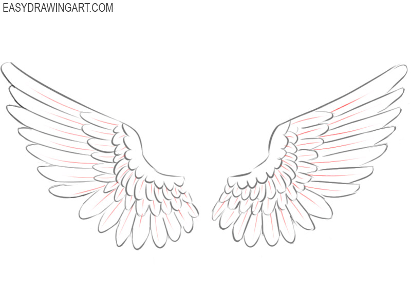 wings drawings images