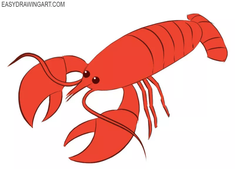 How to Draw a Crayfish - Easy Drawing Art