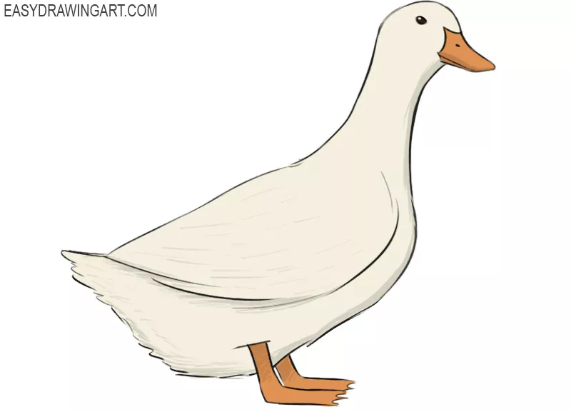 Line Drawing of Duck -Simp...