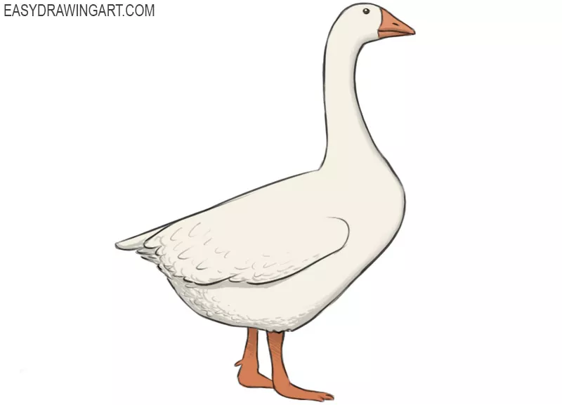 Goose Drawing - How To Draw A Goose Step By Step