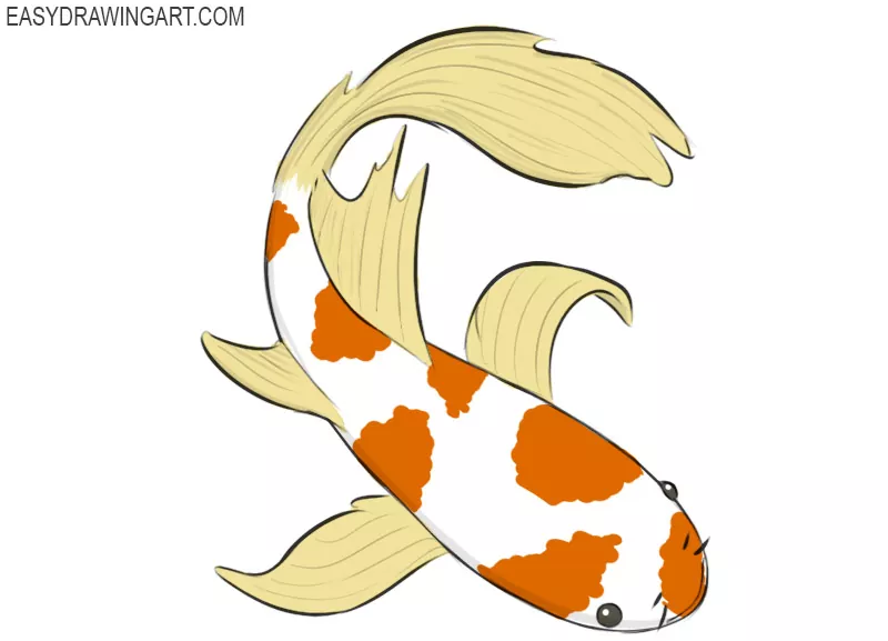 Easy Simple Koi Fish Drawing - img-Bade