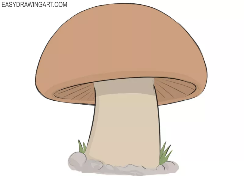 How to Draw a Mushroom