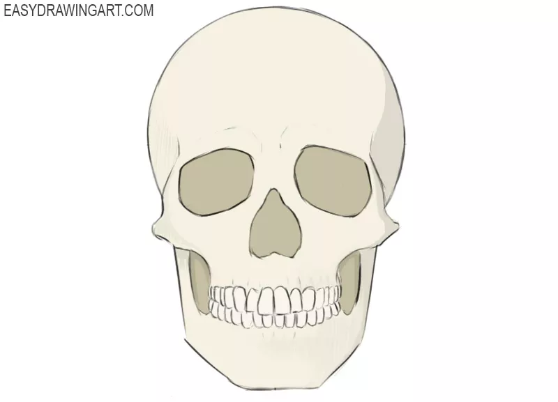 Skull Clipart Easy  Simple Skull Drawing Easy HD Png Download   Transparent Png Image  PNGitem