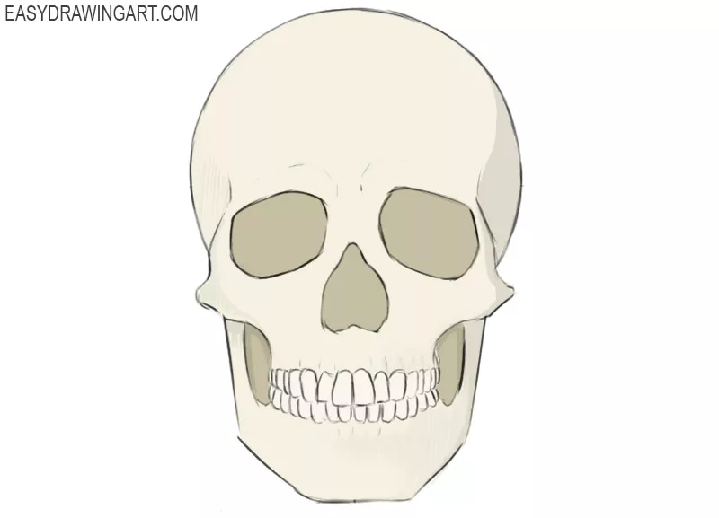 25 Easy Skeleton Drawing Ideas  How To Draw A Skeleton