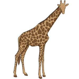 How to draw a Giraffe
