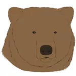 How to Draw a Bear Head