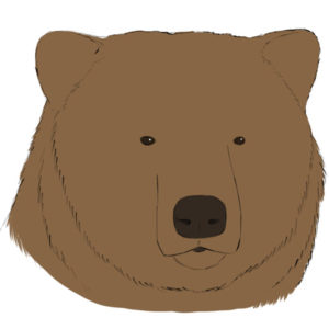 How to draw a bear head