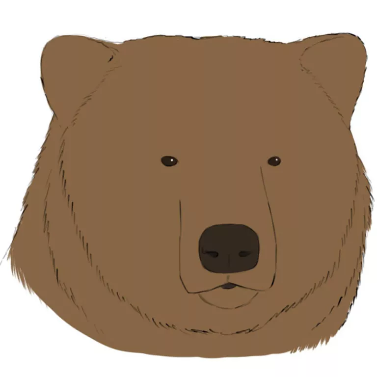 How to Draw a Bear Head