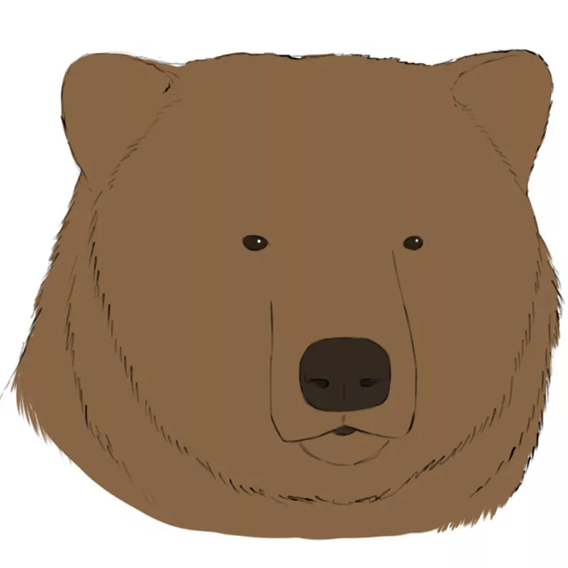 How to Draw a Bear Head Easy Drawing Art