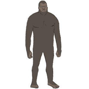 How to draw a bigfoot