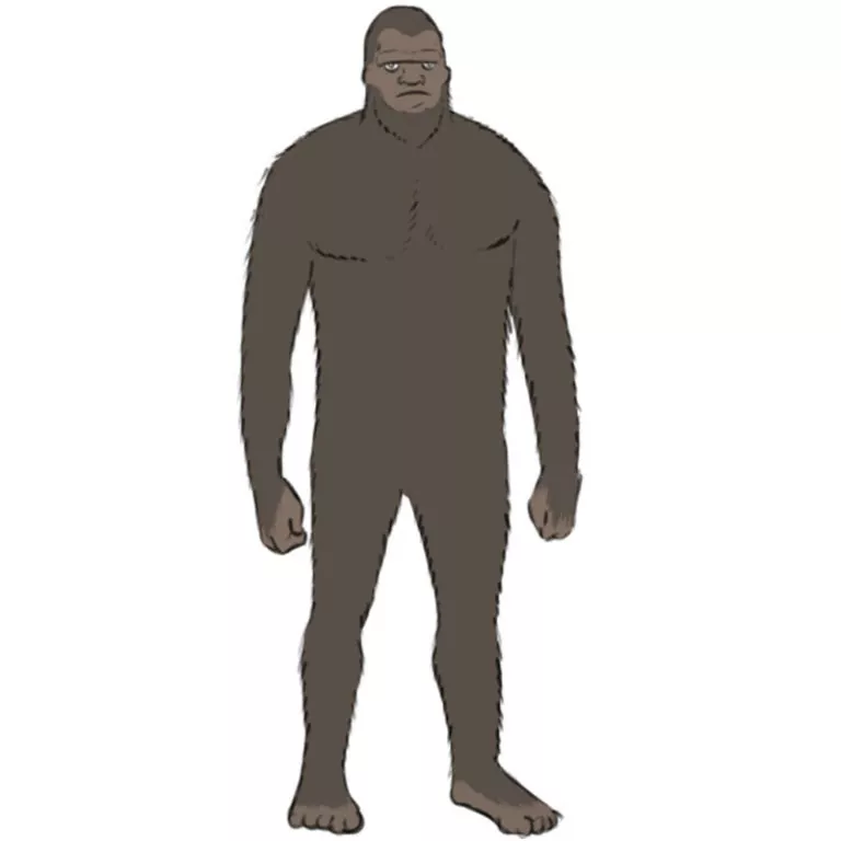 How to Draw Bigfoot