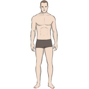 How to Draw a Body