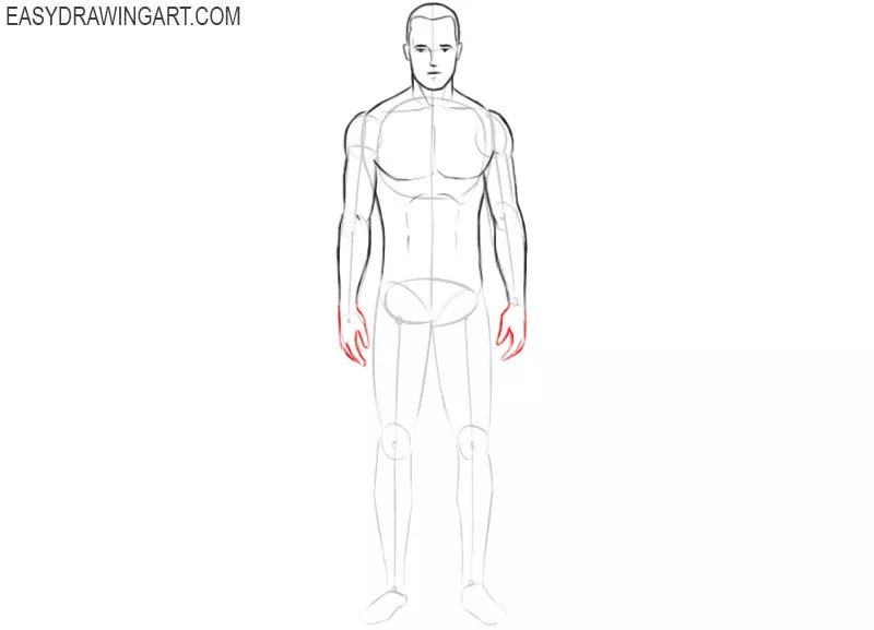 How to draw a body outline