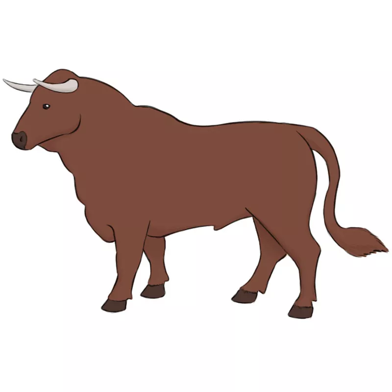 Bull Drawing Images Illustrations  Vectors Free  Bigstock
