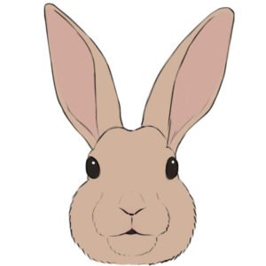 How to draw a bunny face
