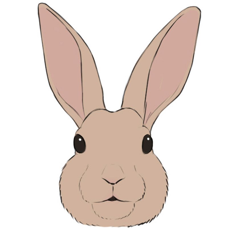 How to Draw a Bunny Face - Easy Drawing Art