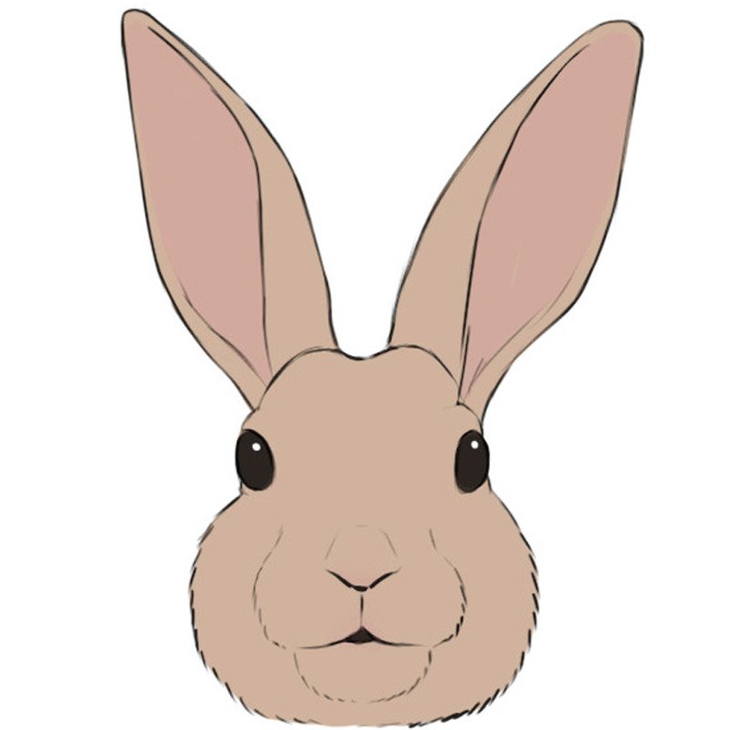 bunny face outline