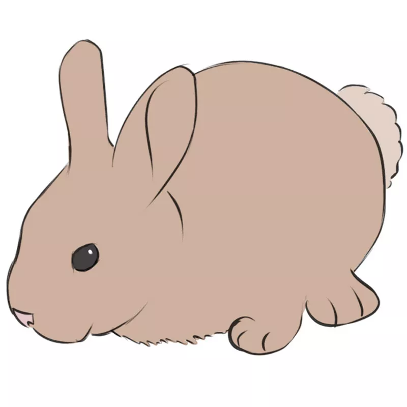 Rabbit Drawing PNG Images With Transparent Background | Free Download On  Lovepik