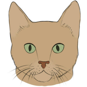 How to draw a cat face