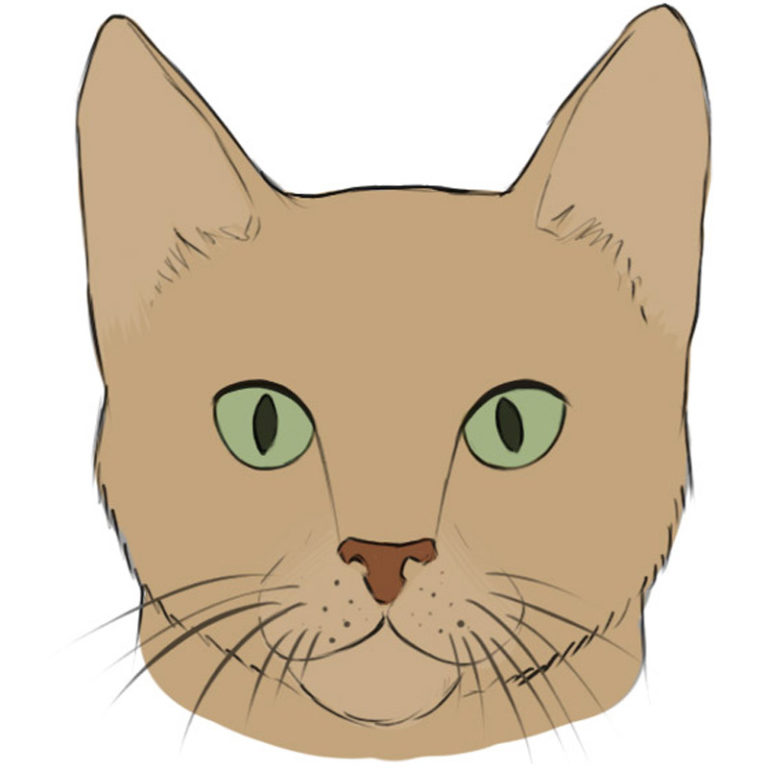 How to draw a cat face