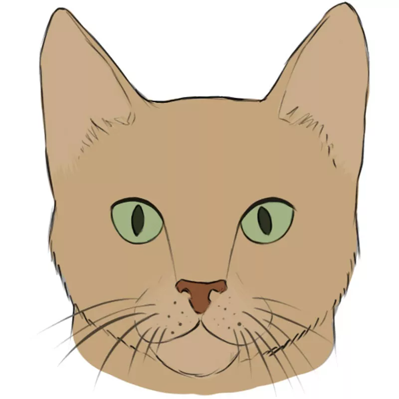 How to Draw a Cat Face Easy Drawing Art