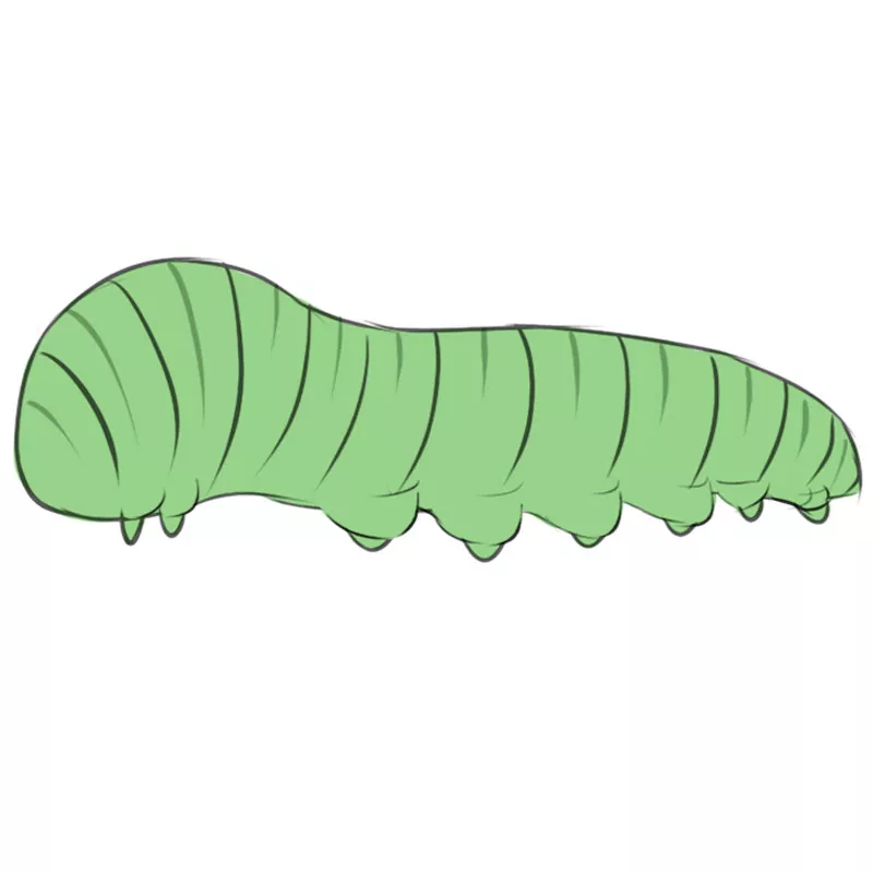 How to Draw a Caterpillar - HelloArtsy