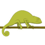 How to Draw a Chameleon Easy