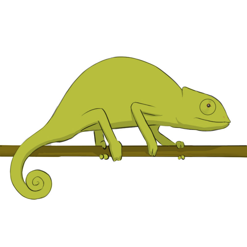 How to Draw a Chameleon Easy - Easy Drawing Art