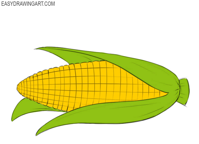 How To Draw A Corn Cob Easy Drawing Art