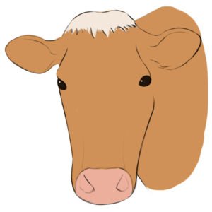 How to draw a cow face