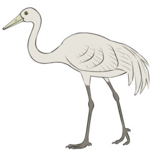 How to draw a crane bird