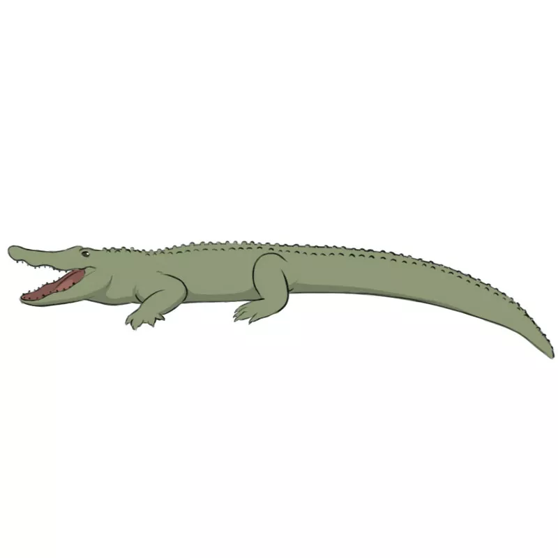 How To Draw A Crocodile For Kids - Bright Star Kids