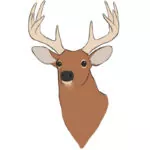 How to Draw a Deer Head