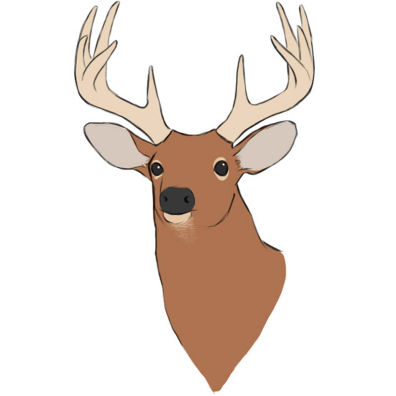 Deer Head Drawing Step By Step - You will learn how to draw and color a